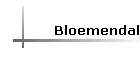 Bloemendal